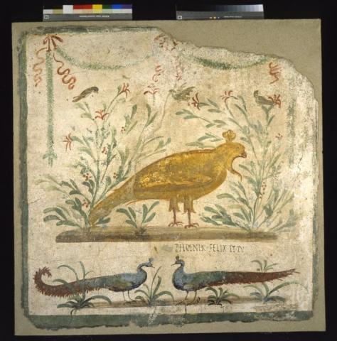 Insegna della Fenice, intonaco dipinto (Pompei, inv. 41671)