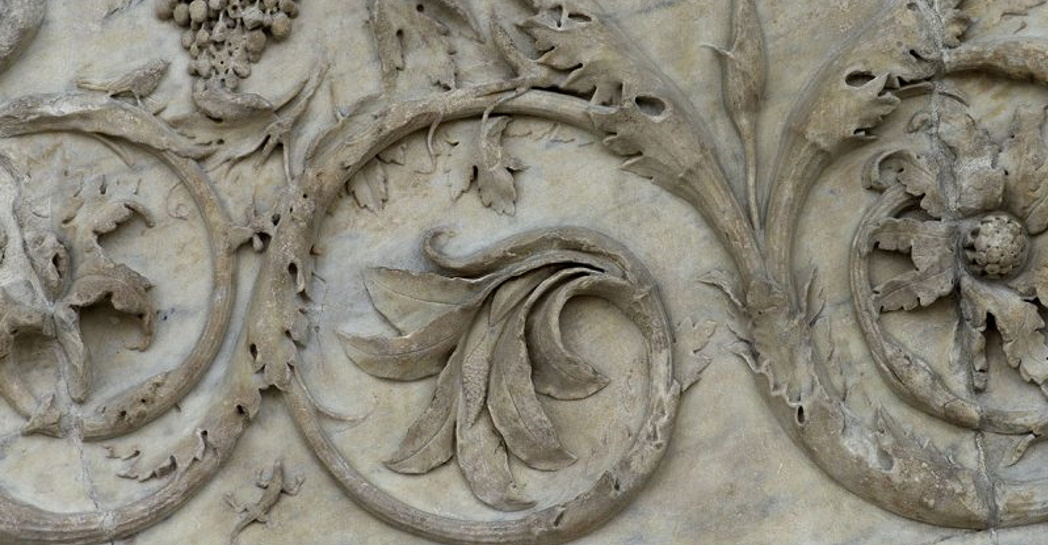 Ara Pacis, particolare fregio vegetale del recinto esterno: girali d’acanto e grappoli d’uva