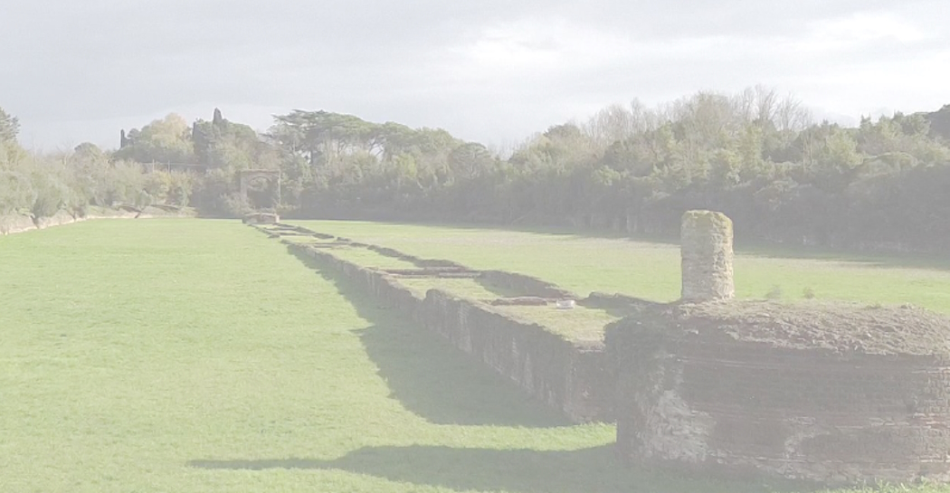 Interdisciplinarietà e archeologia. Il Progetto BIMHERIT al Circo Massimo