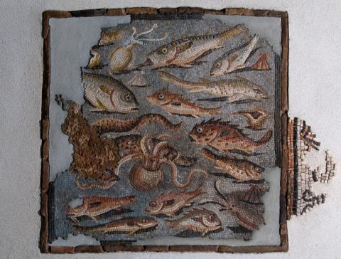 7. Tessellato con pesci, Aquileia - Museo Archeologico Nazionale, I secolo d.C.
