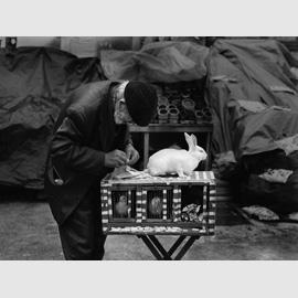 © Erdal Yazici, Un vecchio predice la fortuna con il suo coniglio / Old man having his bunny telling fortunes, Eminönü